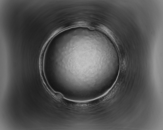 X0000097961243200803241207