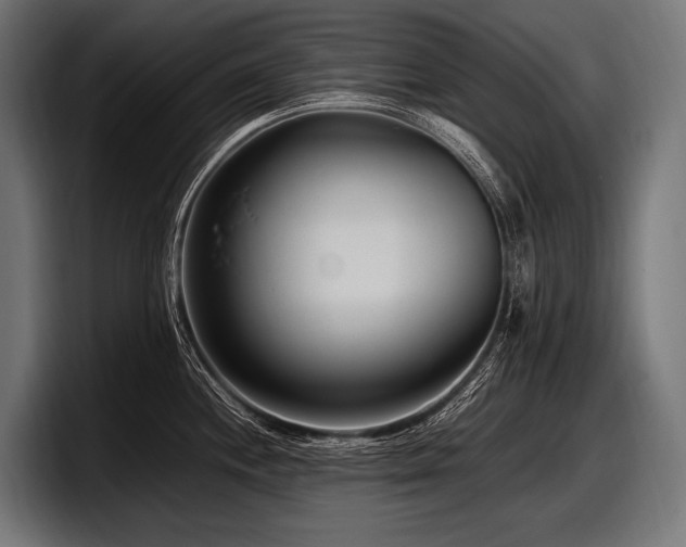 X0000097961244200803241207