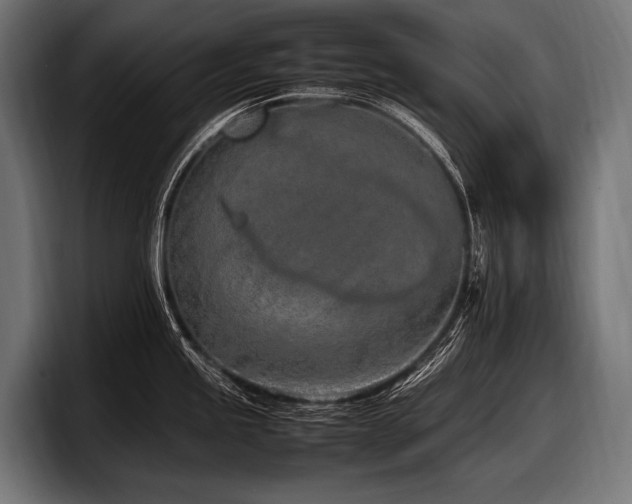 X0000097961245200803241207