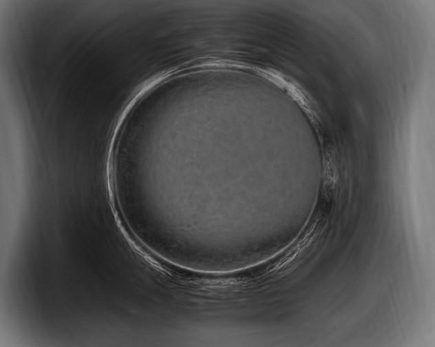 X0000097961247200803241207