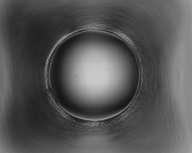 X0000097961248200803241207