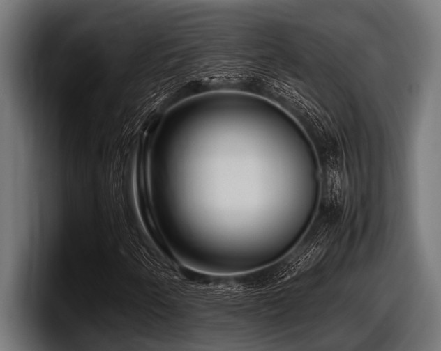 X0000097961250200803241207