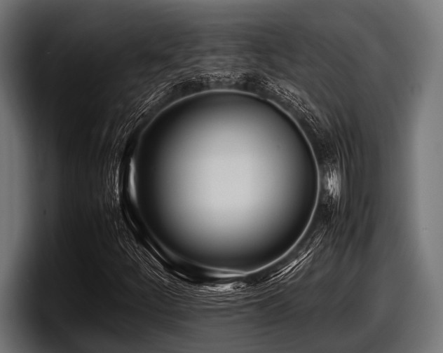 X0000097961252200803241207