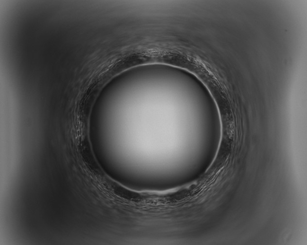 X0000097961253200803241207