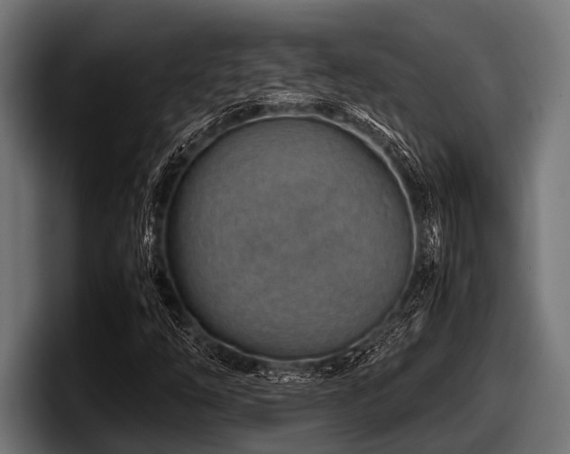 X0000097961254200803241207
