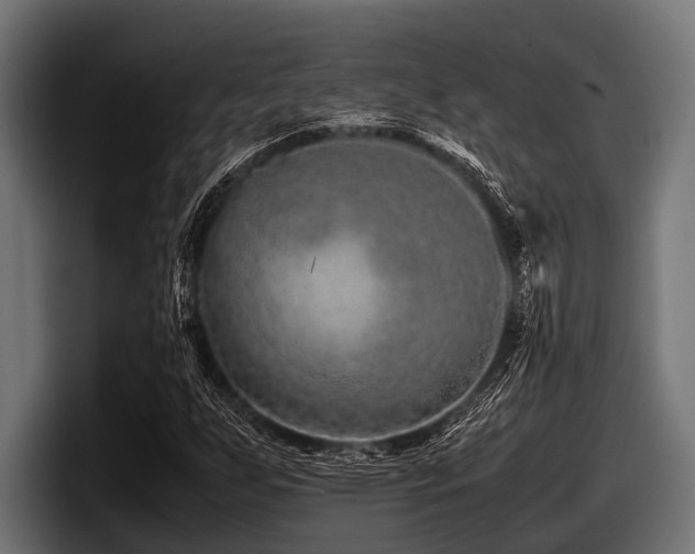 X0000097961255200803241207