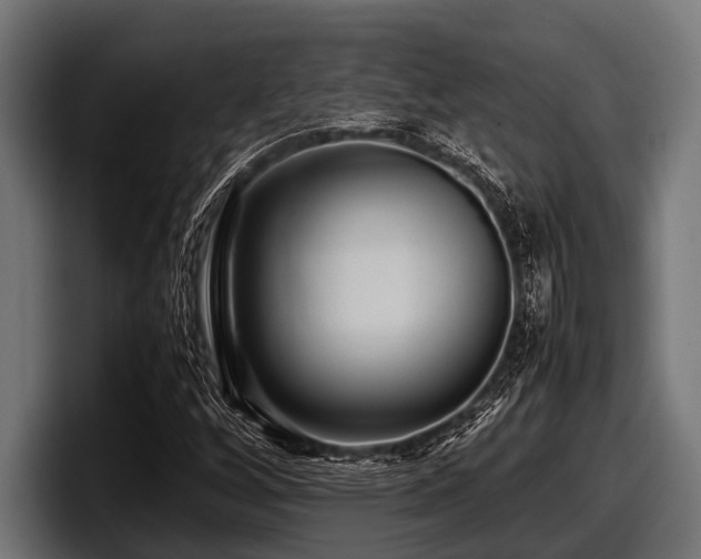 X0000097961256200803241207
