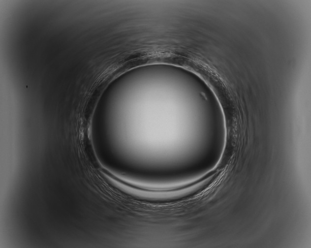 X0000097961257200803241207