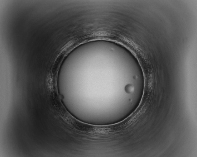 X0000097961258200803241207