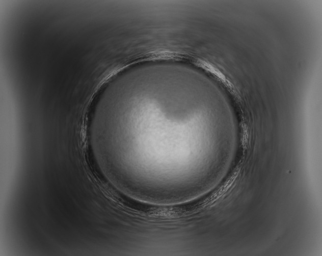 X0000097961259200803241207