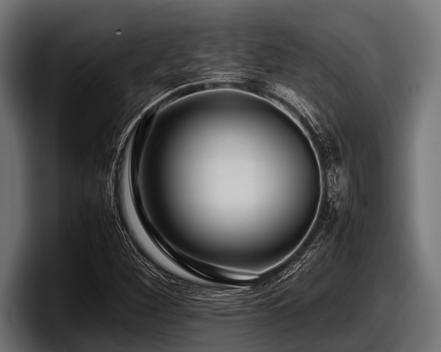 X0000097961260200803241207