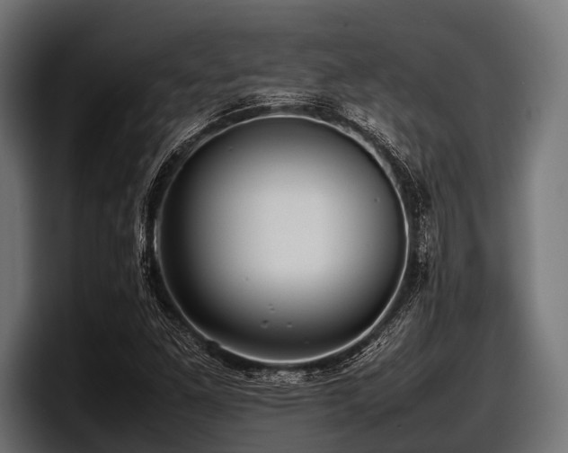 X0000097961261200803241207