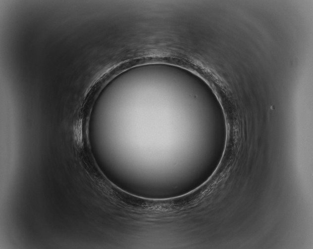 X0000097961262200803241207