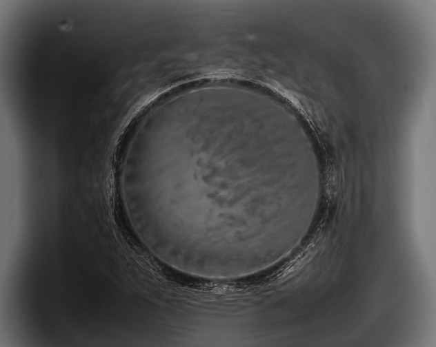 X0000097961263200803241207