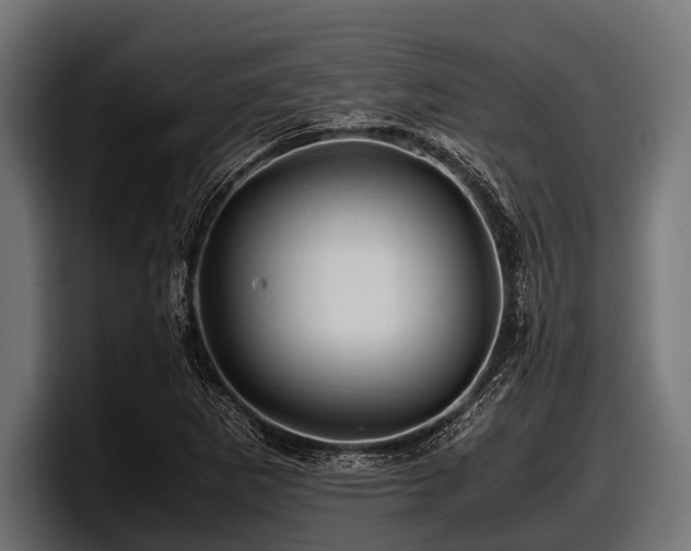 X0000097961265200803241207