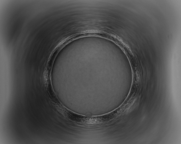 X0000097961266200803241207