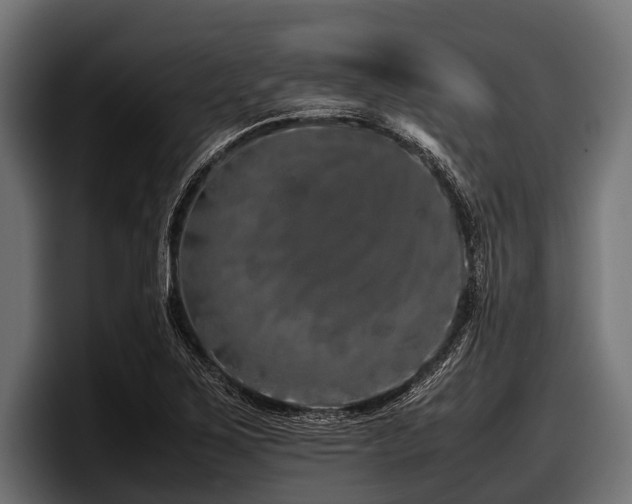 X0000097961267200803241207