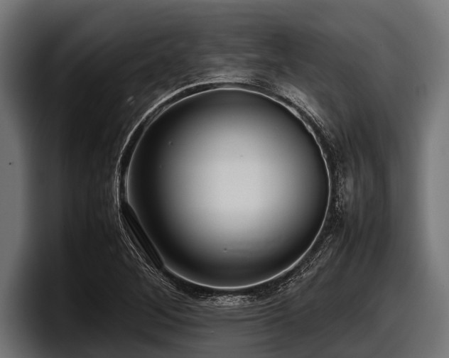 X0000097961268200803241207