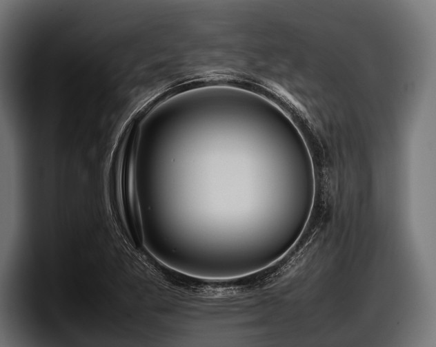 X0000097961269200803241207