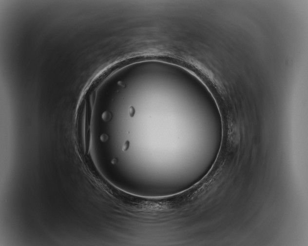 X0000097961270200803241207