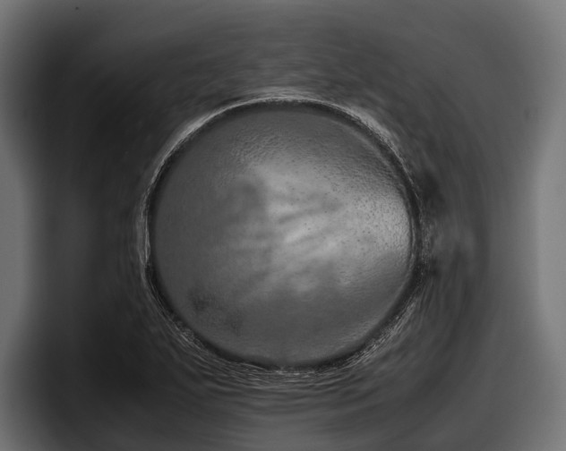 X0000097961271200803241207