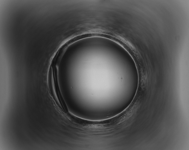 X0000097961272200803241207