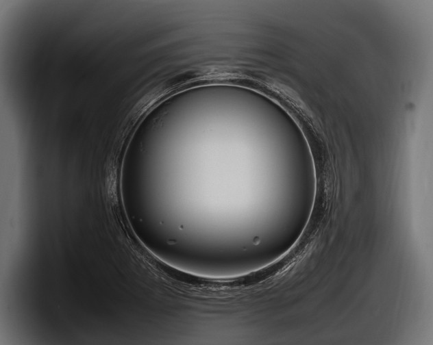 X0000097961273200803241206