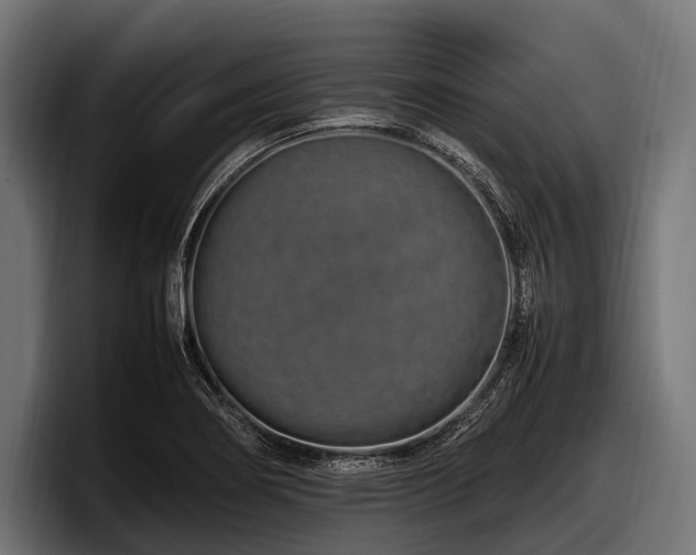 X0000097961274200803241206