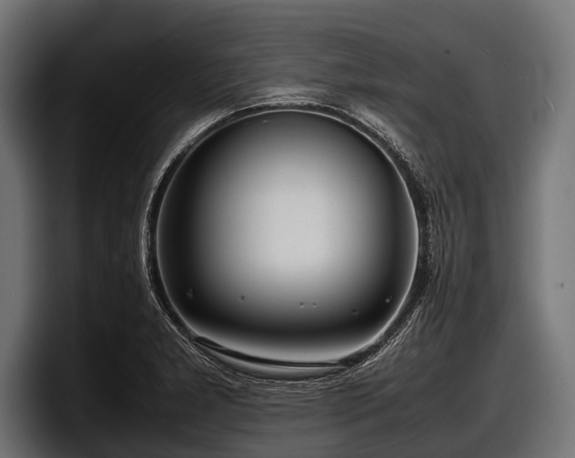 X0000097961277200803241206