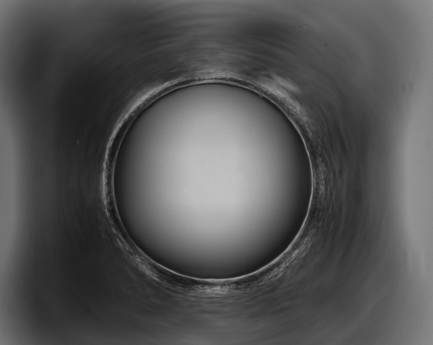 X0000097961278200803241206