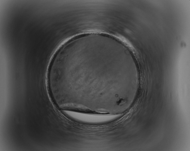 X0000097961279200803241206