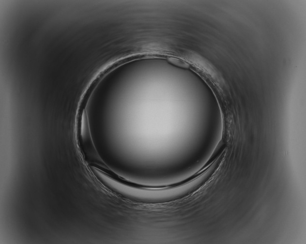 X0000097961280200803241206