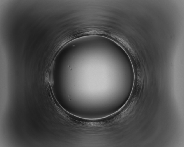 X0000097961281200803241206