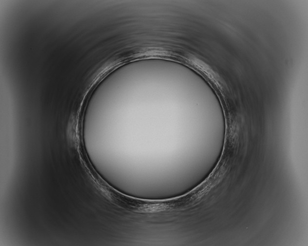 X0000097961282200803241206