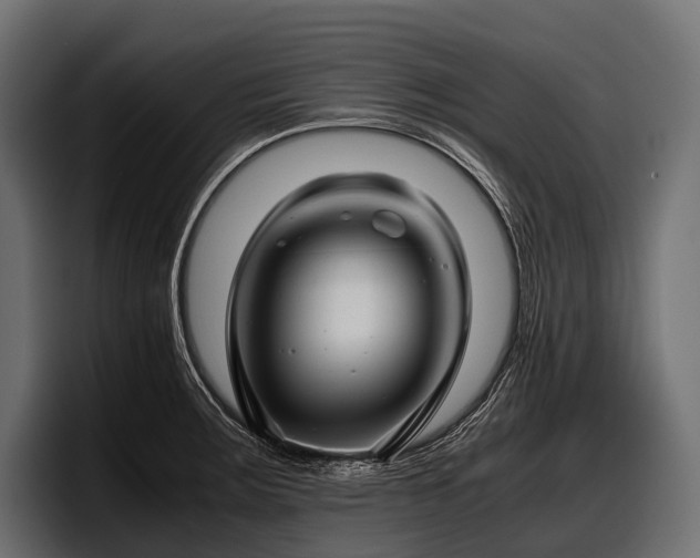 X0000097961283200803241206