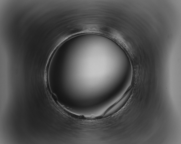 X0000097961284200803241206
