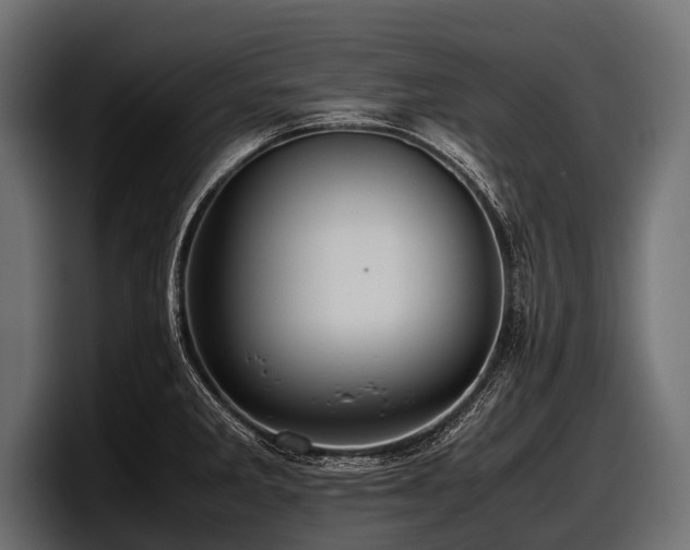 X0000097961285200803241206