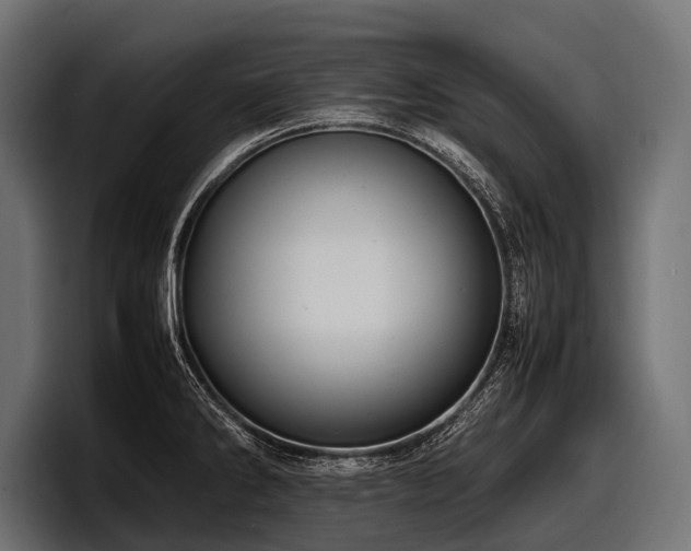 X0000097961286200803241206