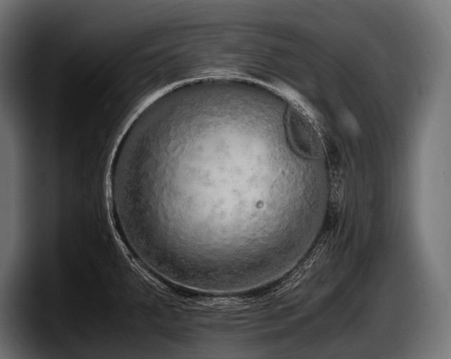 X0000097961287200803241206