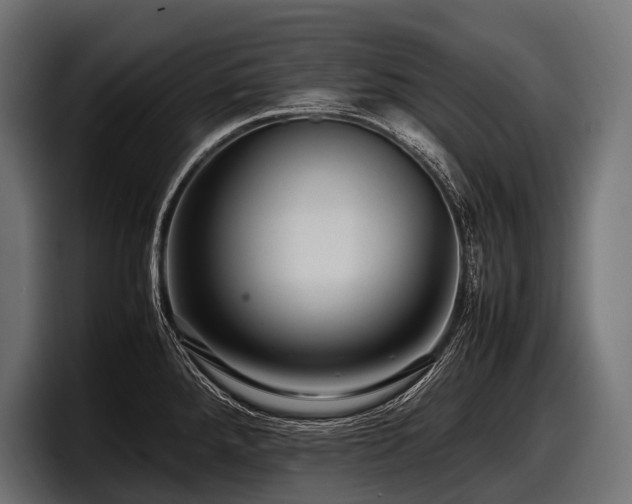 X0000097961288200803241206
