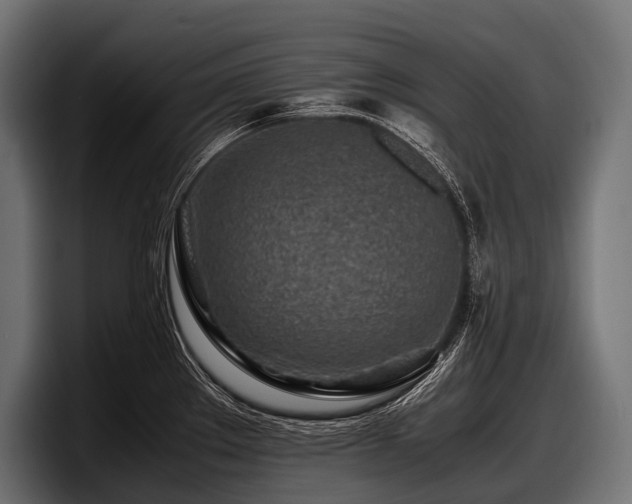 X0000097961289200803241206