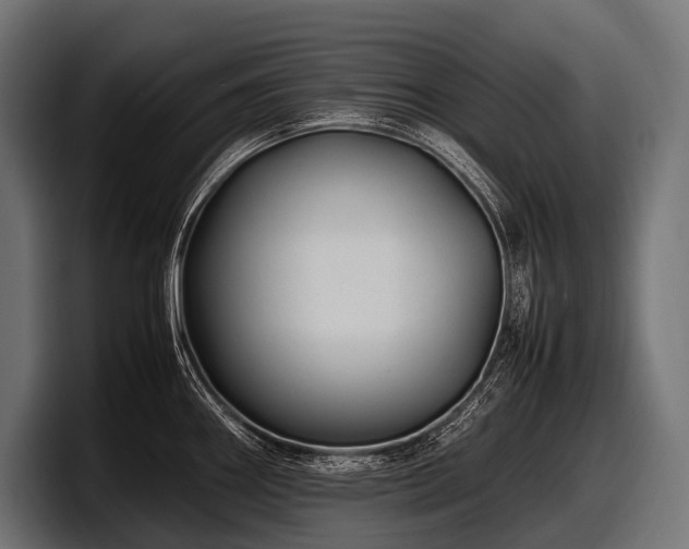 X0000097961290200803241206
