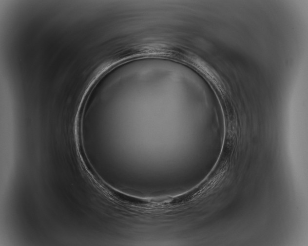 X0000097961291200803241206