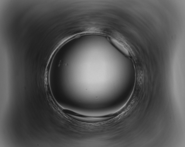 X0000097961292200803241206