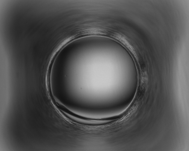 X0000097961293200803241206