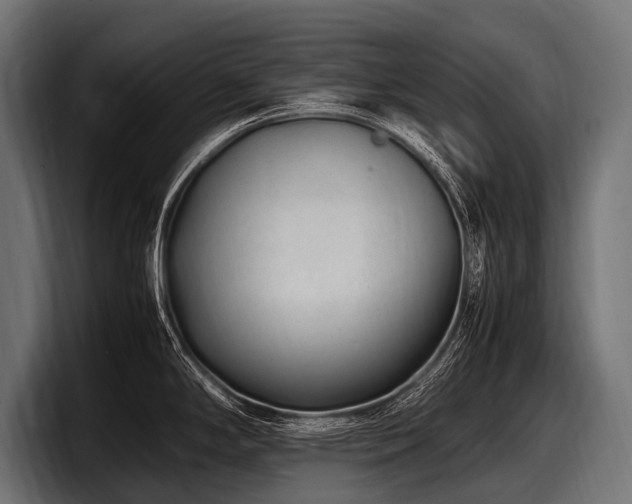 X0000097961294200803241206