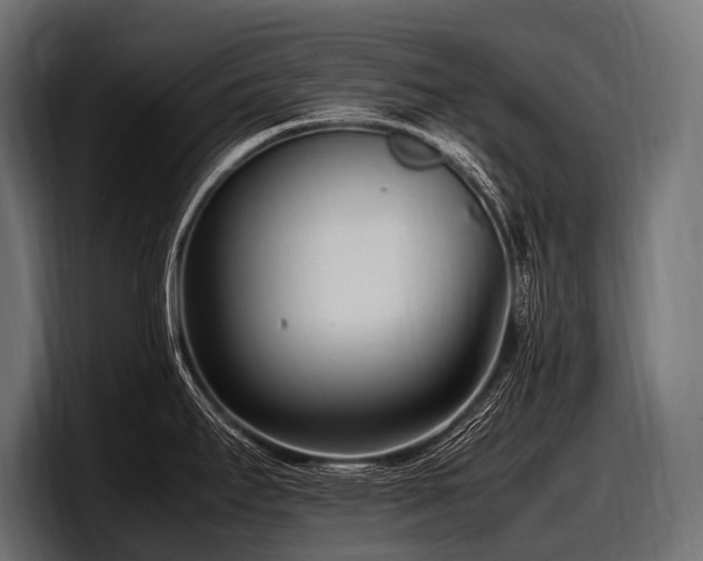 X0000097961295200803241206