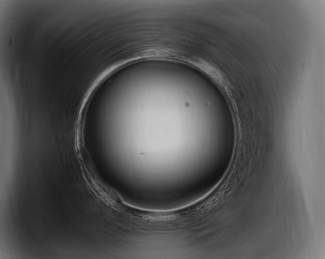 X0000097961296200803241206