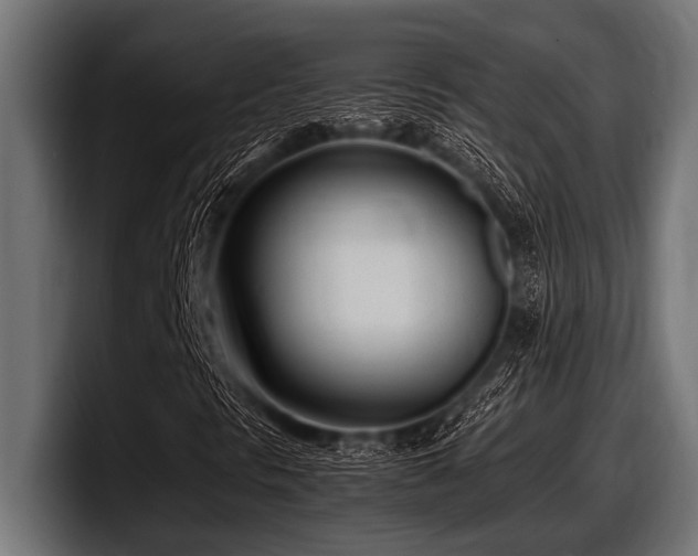 X0000097961297200803241205