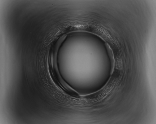 X0000097961298200803241205